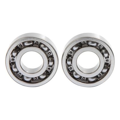 Hot Rods Reconditioning Balance shaft overhaul kit