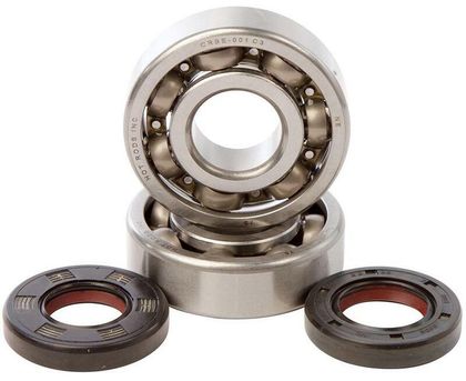 Roulement de vilebrequin Hot Rods Kit joints spi