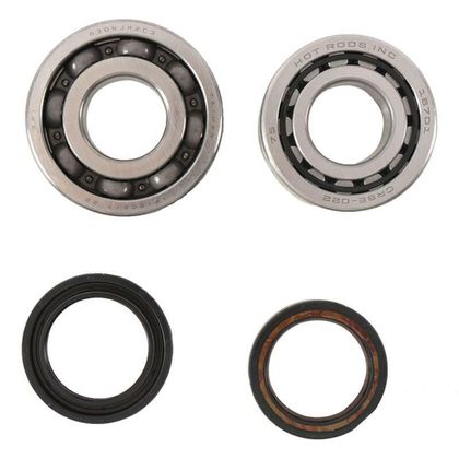Joints spy vilebrequin Hot Rods Kit roulements