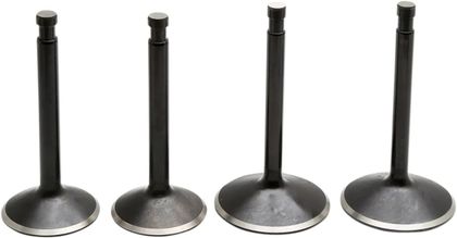 Kit conversion de soupapes Kibble White Black Diamond