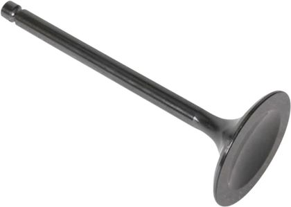 Soupape d'admission Kibble White Black Diamond