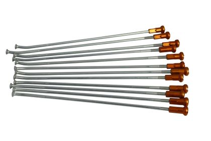 KITE 02110224 Speiche Universell