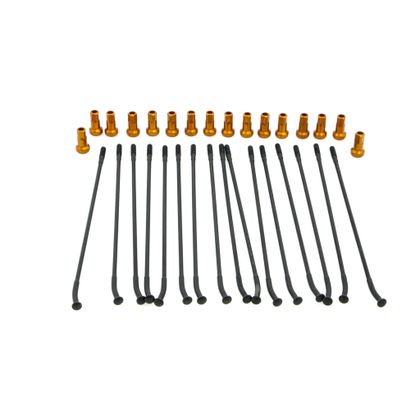 KITE 02110243 Speiche Universell