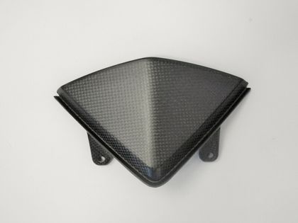 LighTech Speedometer Matt Carbon Motor protection