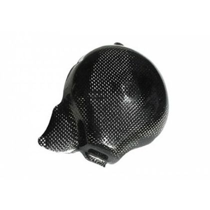 LighTech Alternator Glossy Carbon Motor protection