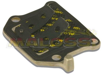 Clapets carbone Malossi 
