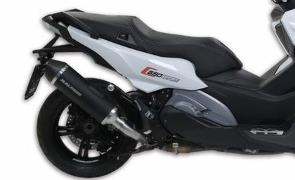 Malossi Wild Lion - Metal magic Carbon Schalldämpfer