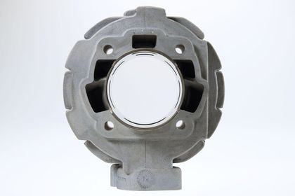 Kit cylindre-piston Malossi ø65mm