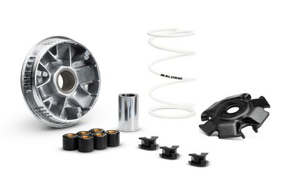 Variateur Malossi Multivar 2000