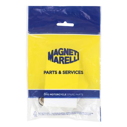 Magneti Marelli MAXISCOOTER ROLLER 20x15 16.5g x6 Variator rollers
