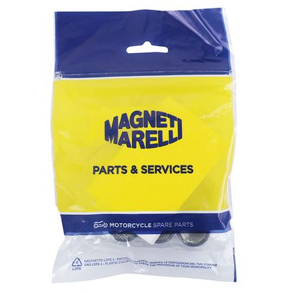 Magneti Marelli MAXISCOOTER ROLLER 23x18 19.0g x6 Variator rollers
