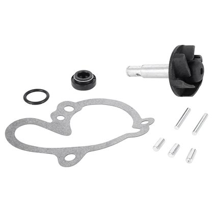 Kit réparation pompe à eau Magneti Marelli 50 A BOITE Ref : MAM00096A / 217826 