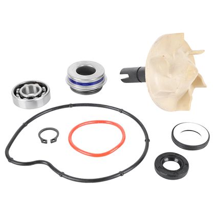 Kit réparation pompe à eau Magneti Marelli MAXISCOOTER Ref : MAM00097A / 217831 