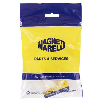 Magneti Marelli MAXISCOOTER ROLLER 20x15 17.0g x6 Variator rollers