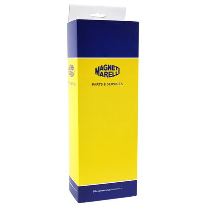 Rétroviseur Magneti Marelli 216565