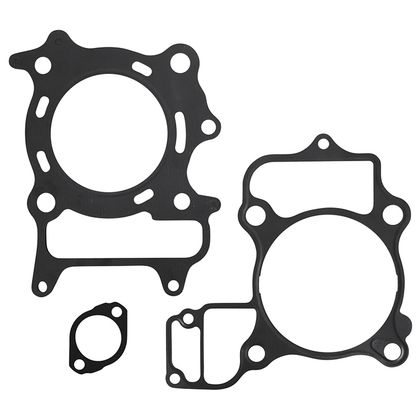 Magneti Marelli HOOG MAXISCOOTER Set Pakkingen Ref: MAM00207A / 216805 