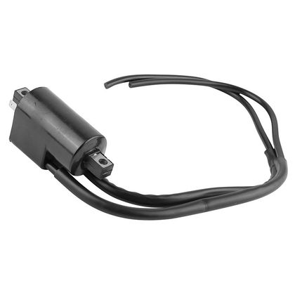 Bobine allumage Magneti Marelli MOTO Ref : MAM00308A / 216952 