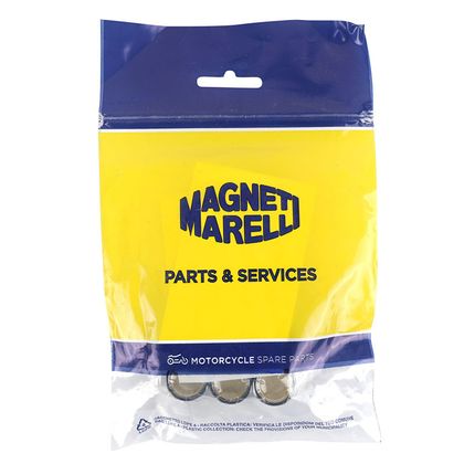 Magneti Marelli MAXISCOOTER ROLLER 19x17 8.5g x6 Variator rollers