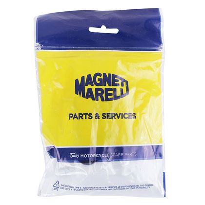 Magneti Marelli MAXISCOOTER ROLLER 23x18 17.0g x6 Variator rollers