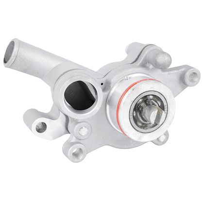 Pompe à eau Magneti Marelli MAXISCOOTER