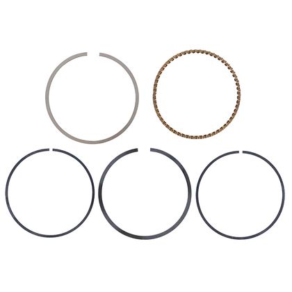 Kit piston Magneti Marelli SEGMENT MAXISCOOTER Ref : MAM00395A / 217964 