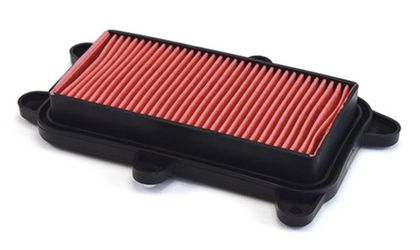 Meiwa 265125 Luchtfilter