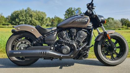 Miller Exhaust Polished, Standard Tip Silencer Ref : MIL01180A / IN-SCTSX-X53.00 