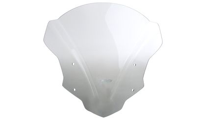 Bulle MRA Touring NTM fumé