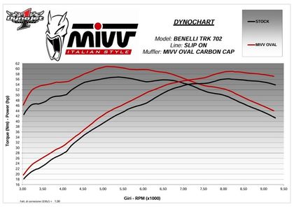 Silencieux Mivv Oval