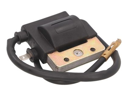 Bobine allumage 101 Octane 21020413