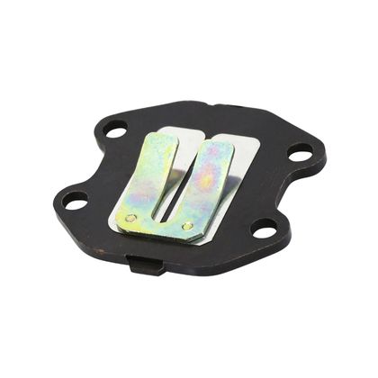 Clapet P2R 206012