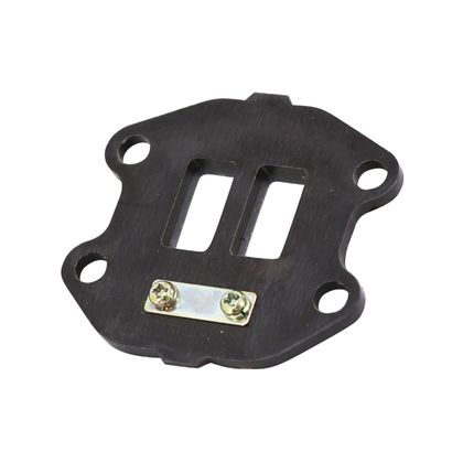 Clapet P2R 206012