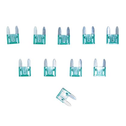 P2R MINIATURE AANSLUITPLATTE 30A Zekering Universeel