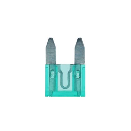 P2R MINIATURE AANSLUITPLATTE 30A Zekering Universeel