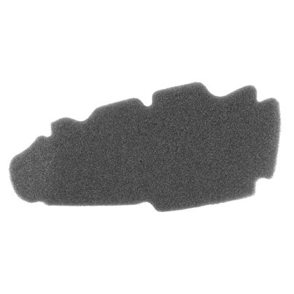 P2R MOUSSE MAXISCOOTER Luftfilter