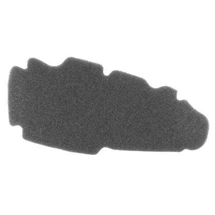 P2R MOUSSE MAXISCOOTER Luftfilter