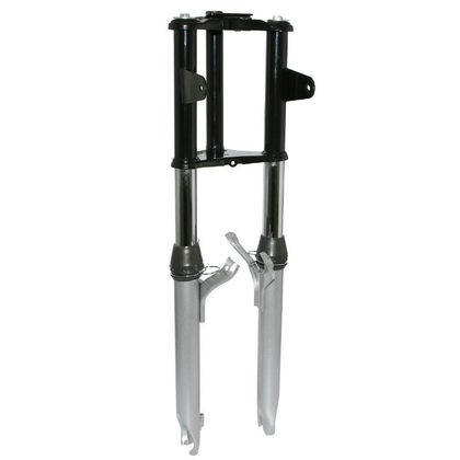 Fourche P2R 141831