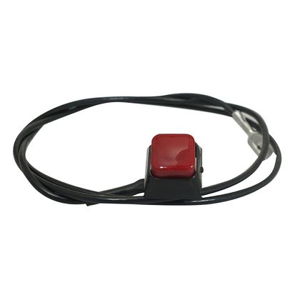 P2R WARNING BUTTON - ORIGINAL TYPE HORN Light control