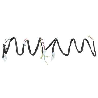 Faisceau Plug&Play P2R ELECTRIQUE