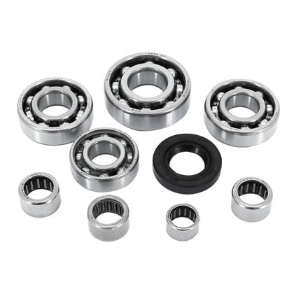 P2R CAGE NAALDEN 50 ZKL Versnellingsbaklagerkit