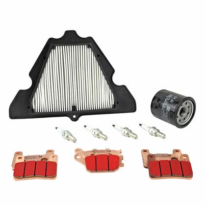 Kit entretien P2R 223954 Ref : P2R00859A / 223954 