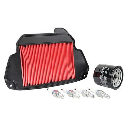 Kit entretien P2R 224142 Ref : P2R00866A / 224142 
