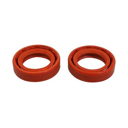P2R SCOOT 20x30x7 mm PAIRE Krukas keerring