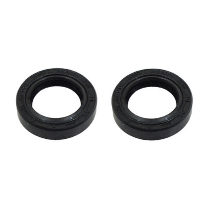 P2R SCOOT 20x30x7 mm PAAR Krukas keerring