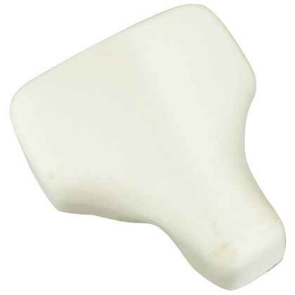 P2R 169017 Sattelschaum