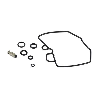 P2R 205182 Vergaser-Reparatursatz