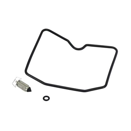 P2R 205184 Carburettor repair kit
