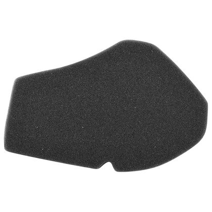 P2R MOUSSE MAXISCOOTER Luftfilter