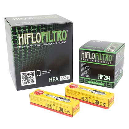 Kit entretien P2R 224132