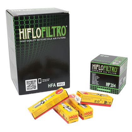 Kit entretien P2R 224170
